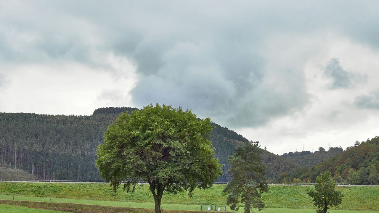 Photo of Outdoor in Coo
