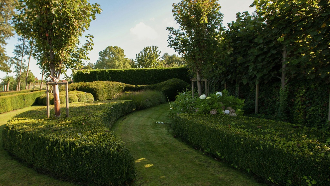 Photo of Outdoor in Zedelgem