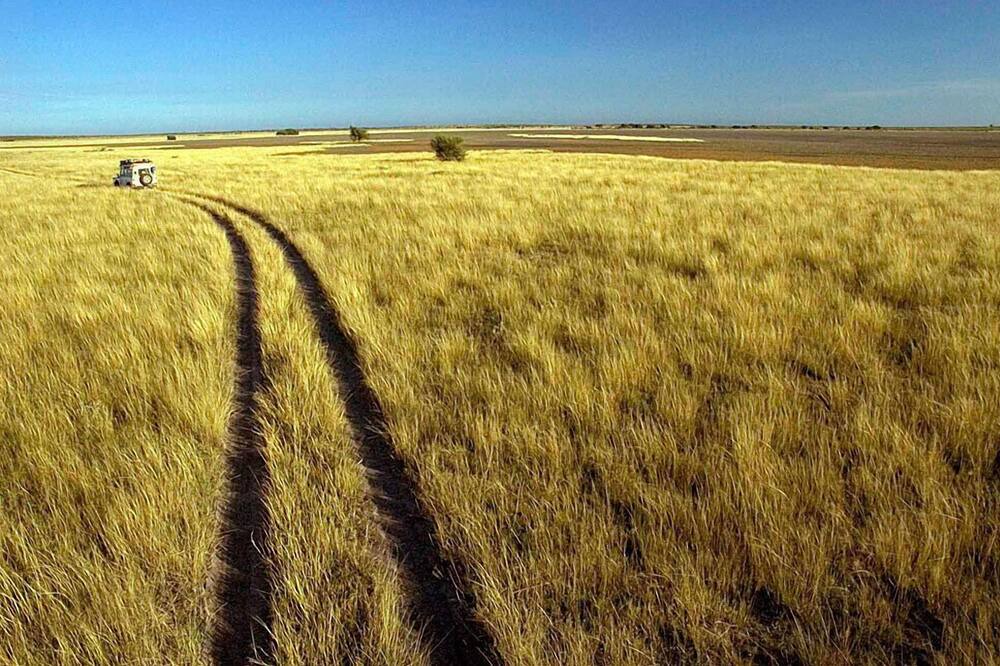 Photo of Outdoor in Central Kalahari Game Reserve