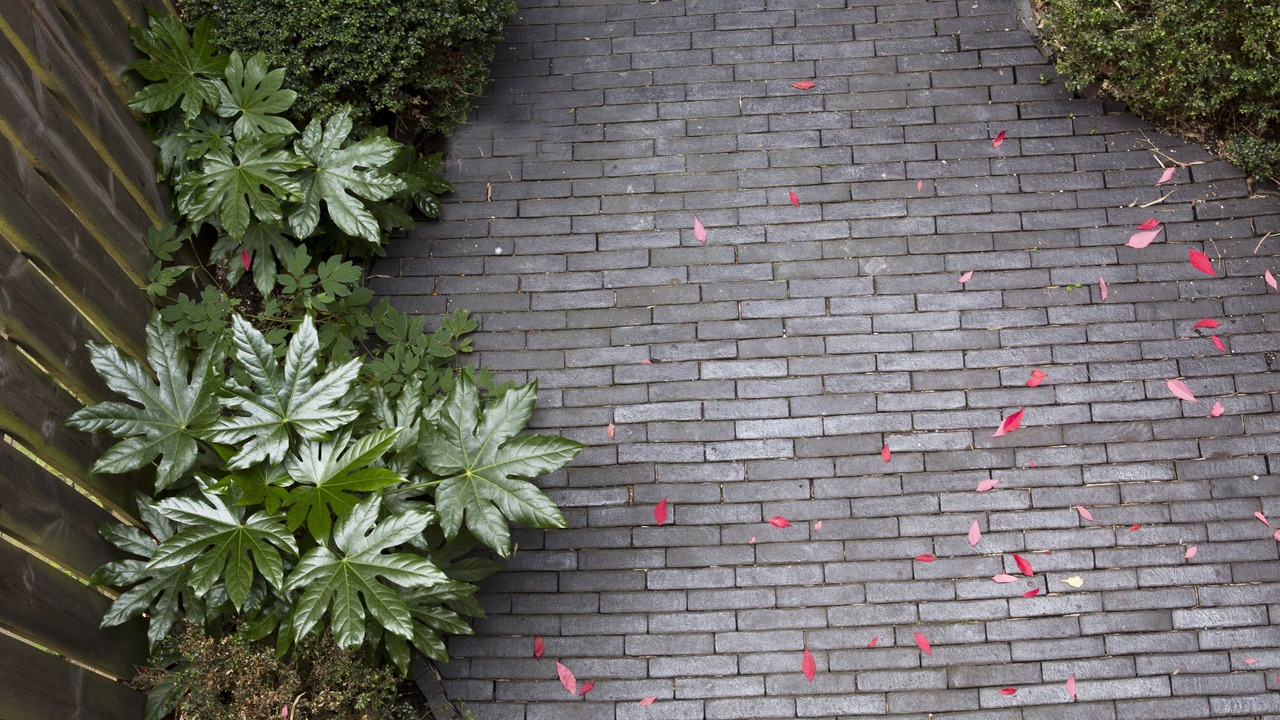 Photo of Patio Balcony in Historisch centrum