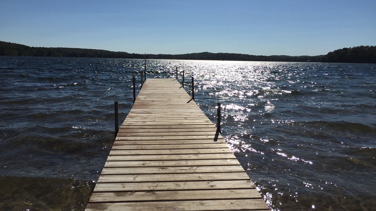 Photo of Others in East Gull Lake