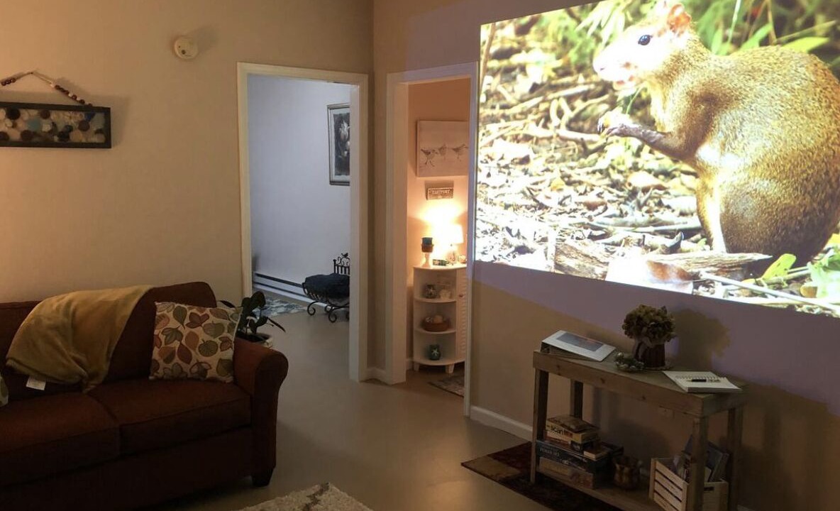 Photo of Bedroom in Gaffney