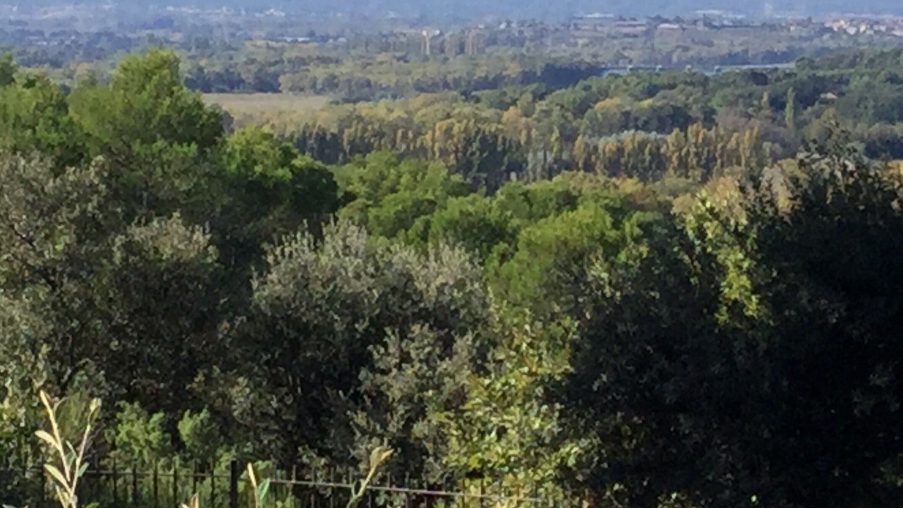 Photo of Others in Merindol