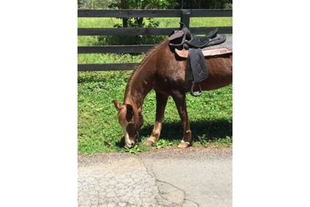 Photo of Outdoor in Canton