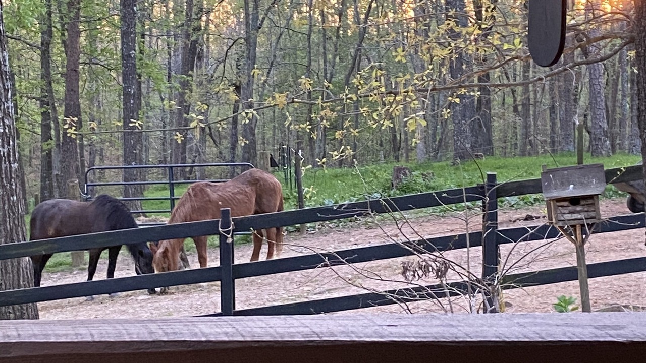 Photo of Outdoor in Canton
