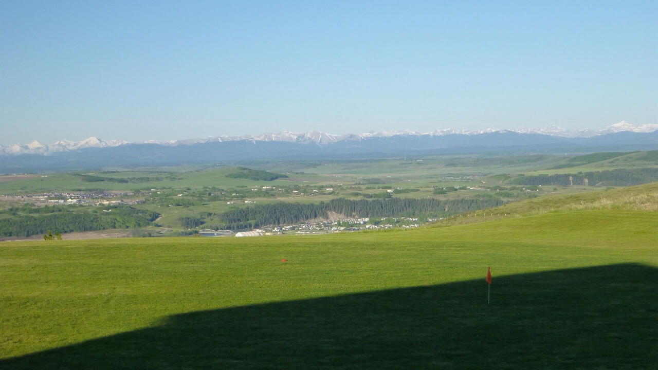 Photo of Others in Calgary