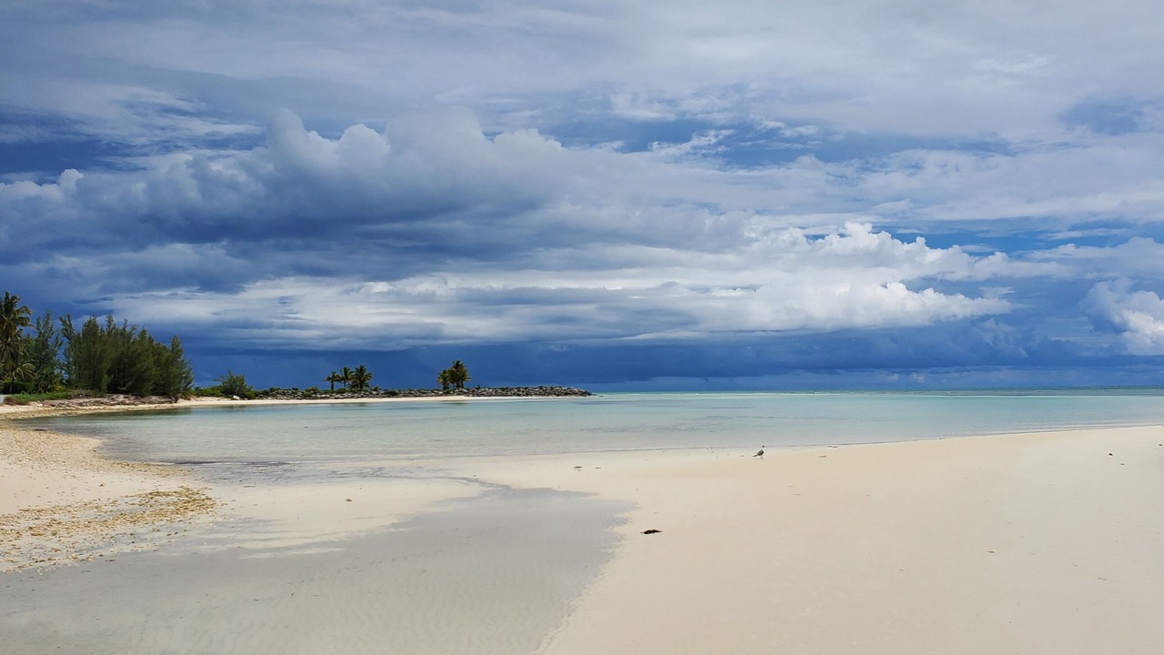 Photo of Others in Bahamas Terrace