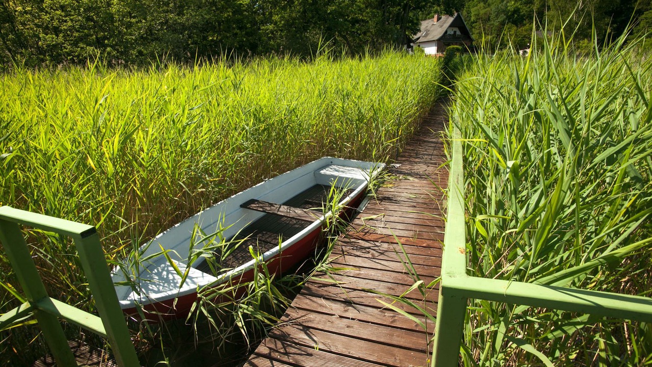 Photo of Outdoor in Buckow