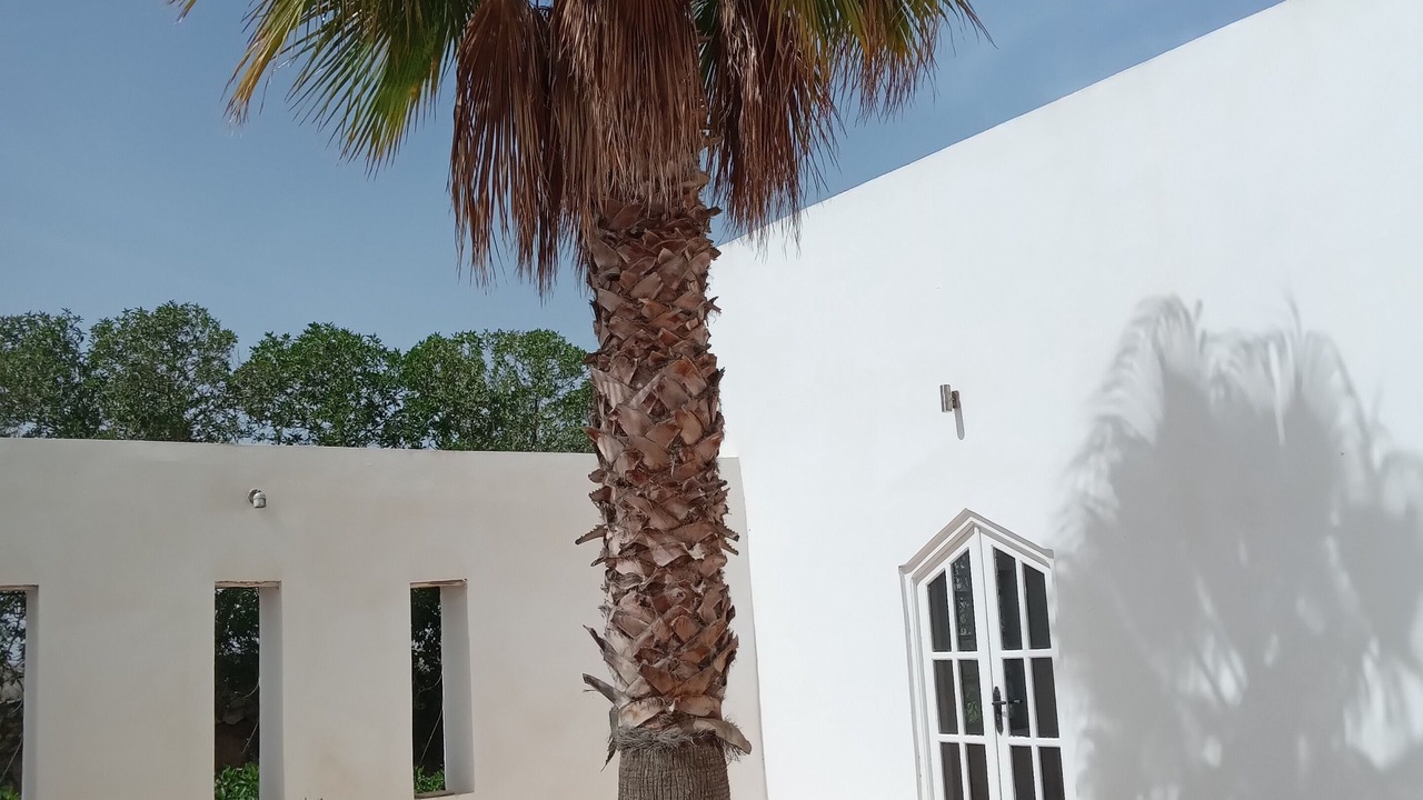Photo of Outdoor in Essaouira