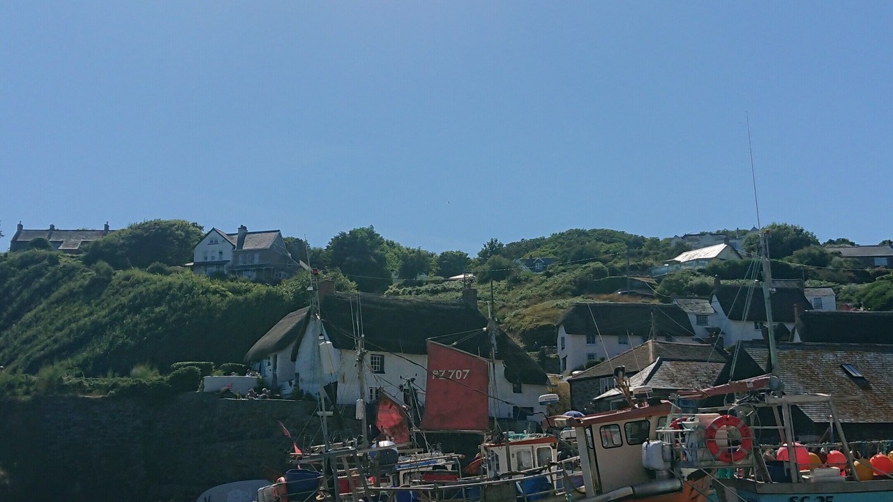 Photo of Others in Cadgwith