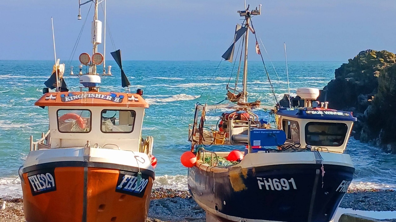 Photo of Others in Cadgwith