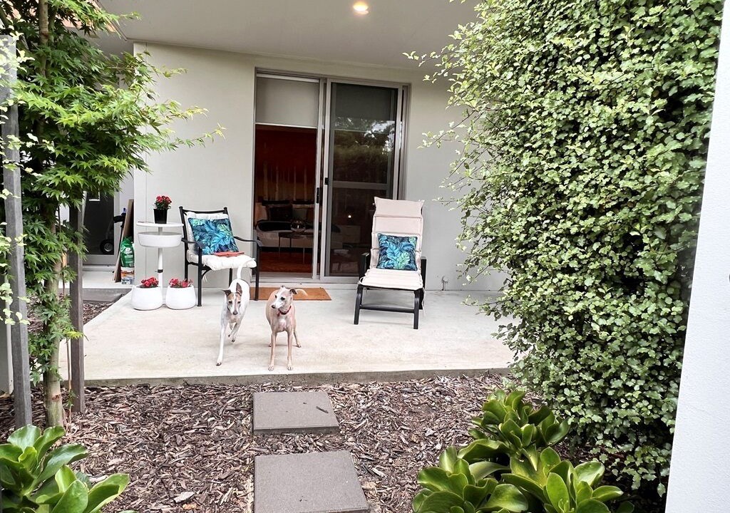 Photo of Patio Balcony in Canberra