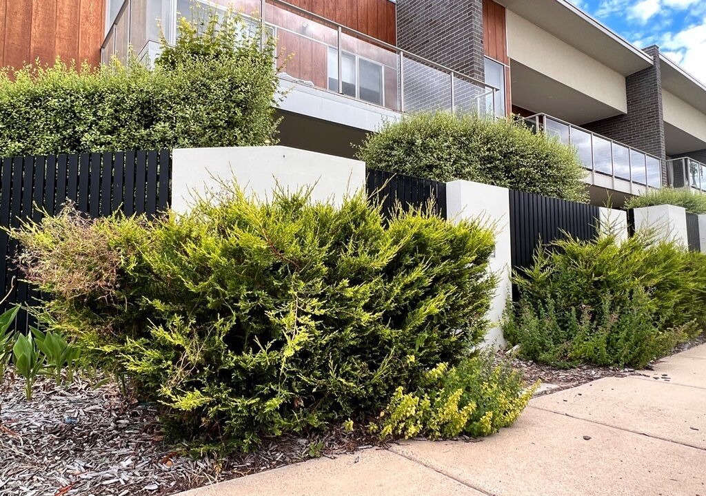 Photo of Outdoor in Canberra