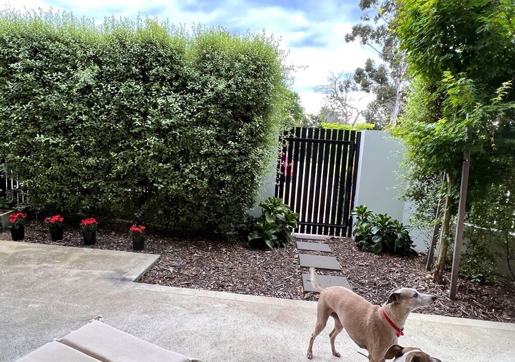 Photo of Outdoor in Canberra