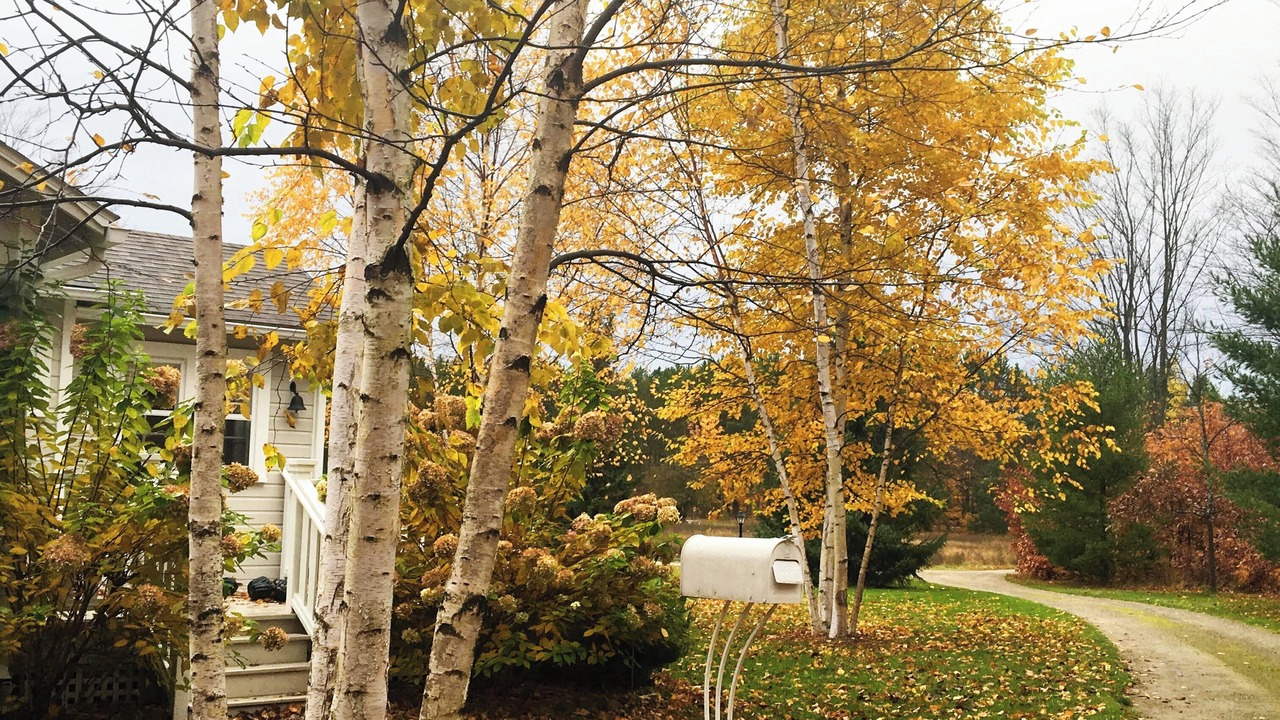Photo of Outdoor in Harbor Springs