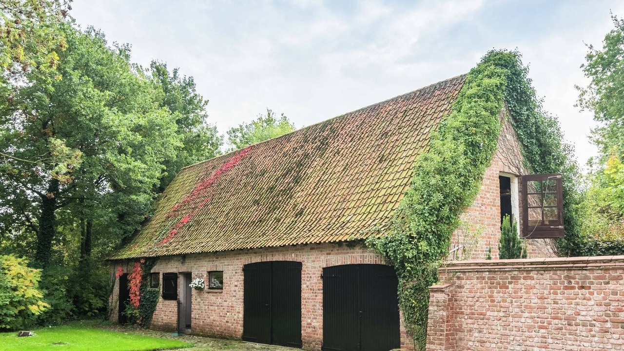 Photo of Outdoor in Veldegem
