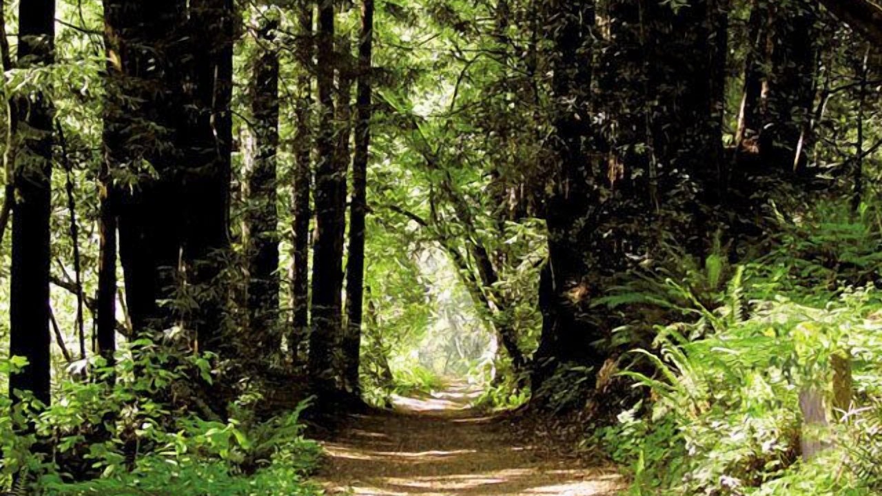 Photo of Outdoor in La Selva Beach