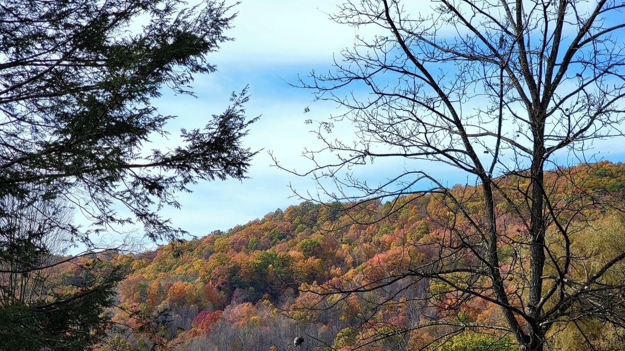 Photo of Others in Northfork