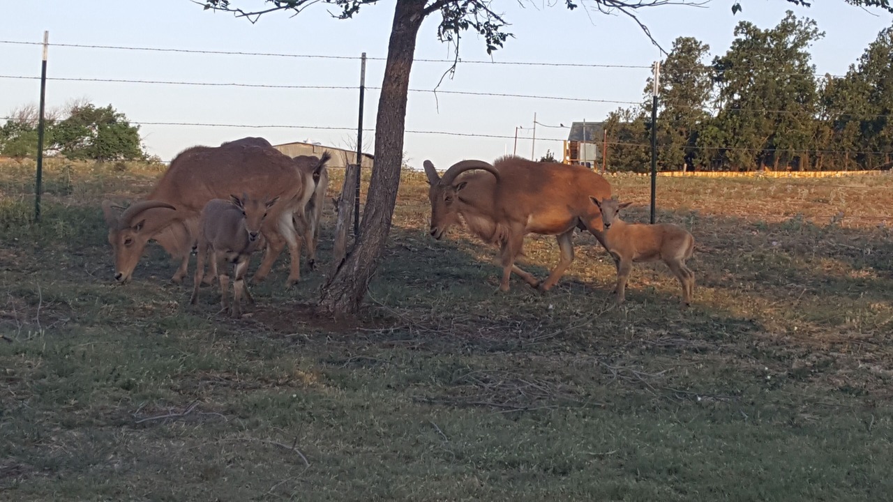 Photo of Others in Canyon