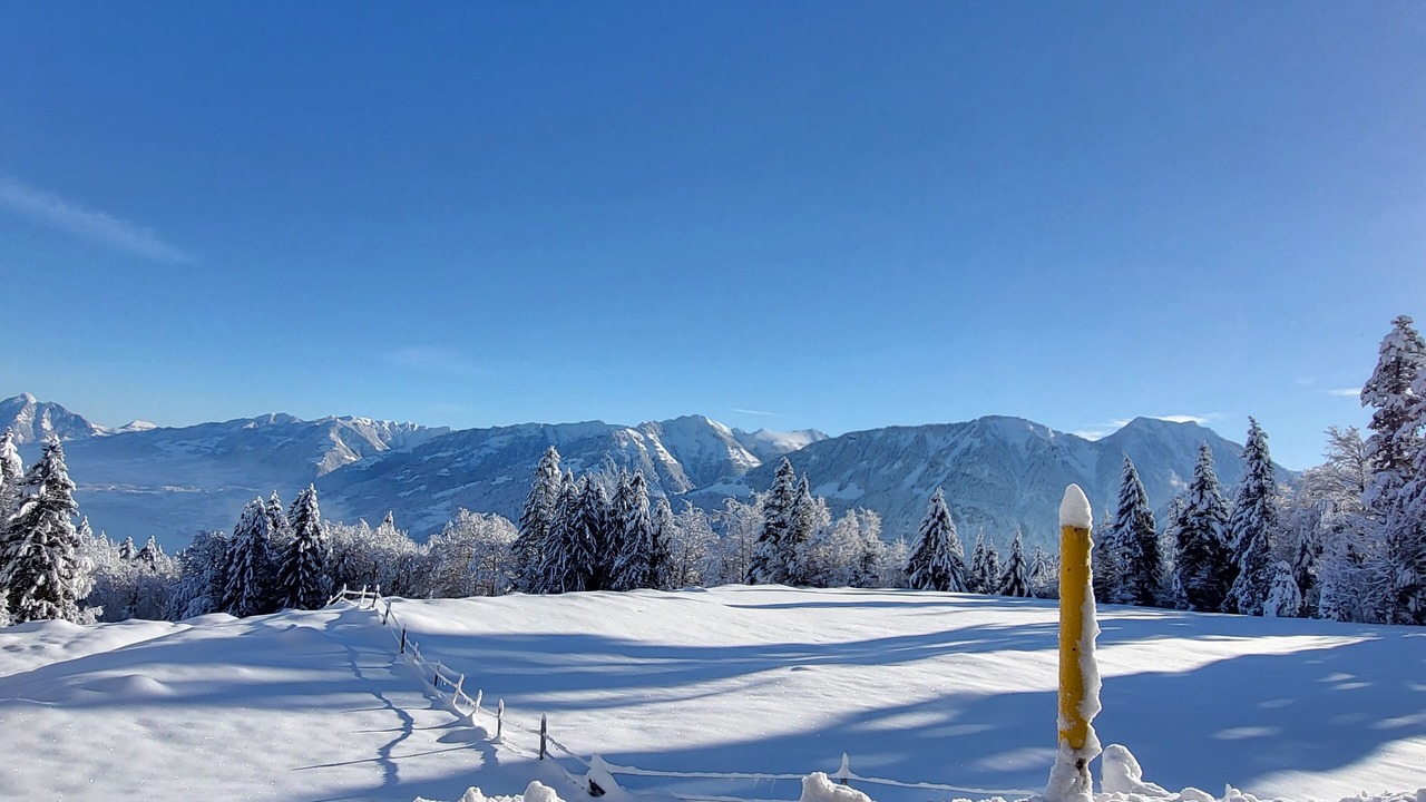 Photo of Others in Giswil