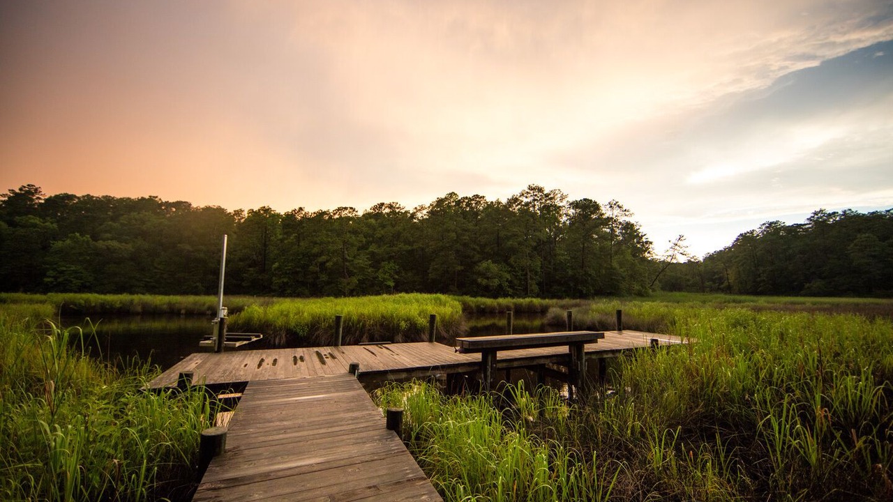 Photo of Outdoor in Minnesott Beach