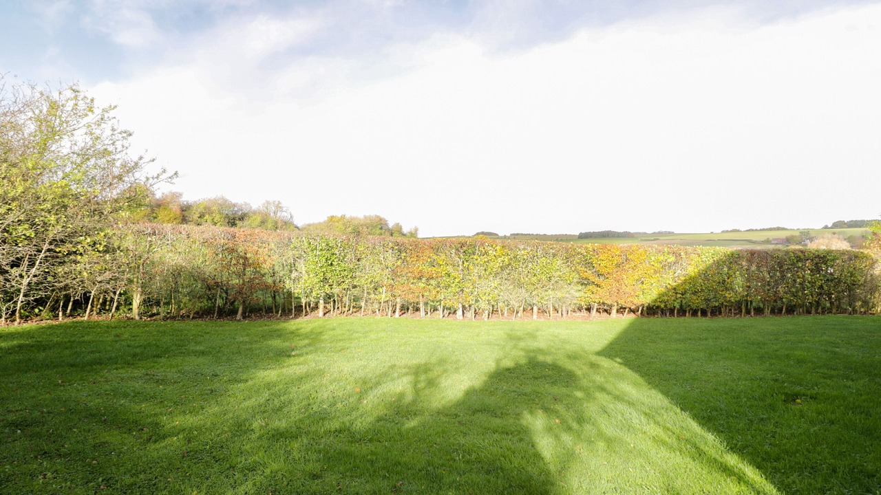 Photo of Outdoor in Marlborough
