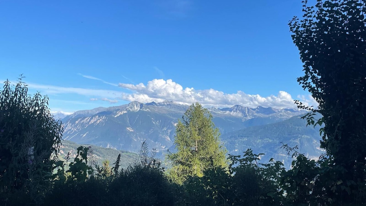 Photo of Others in Monteiller