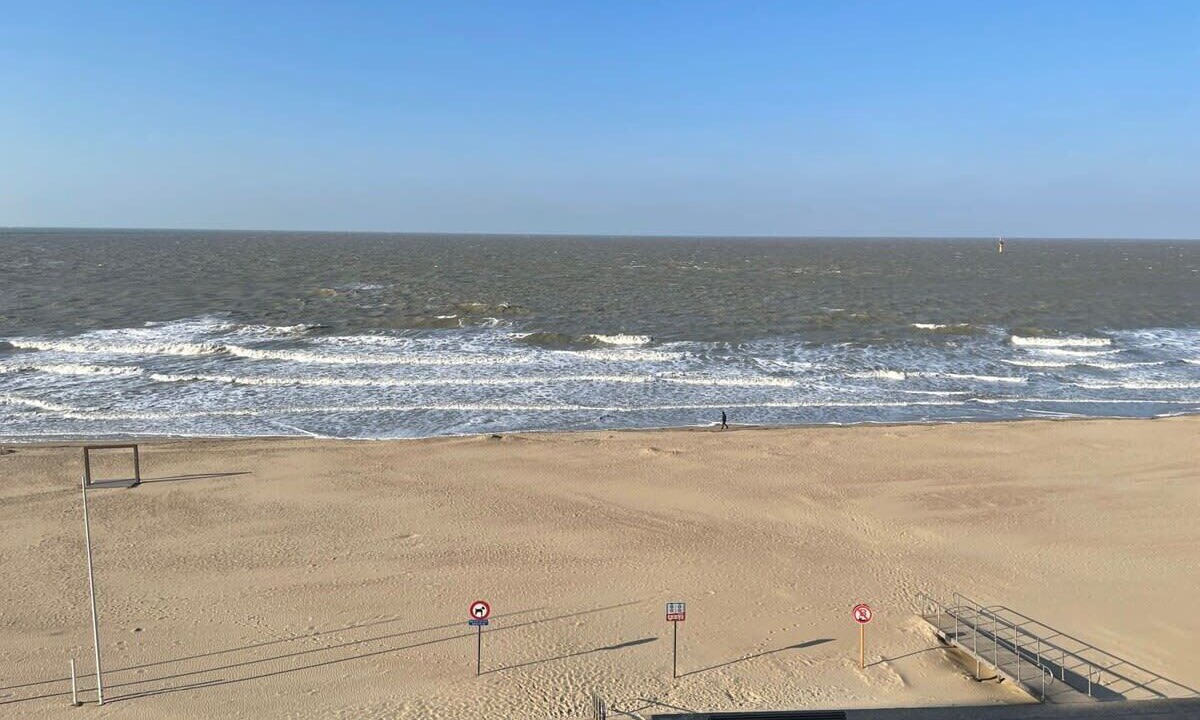 Photo of Others in Knokke