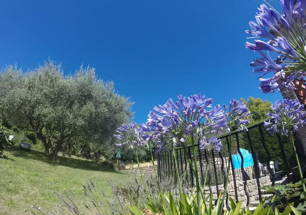 Photo of Outdoor in Seillans