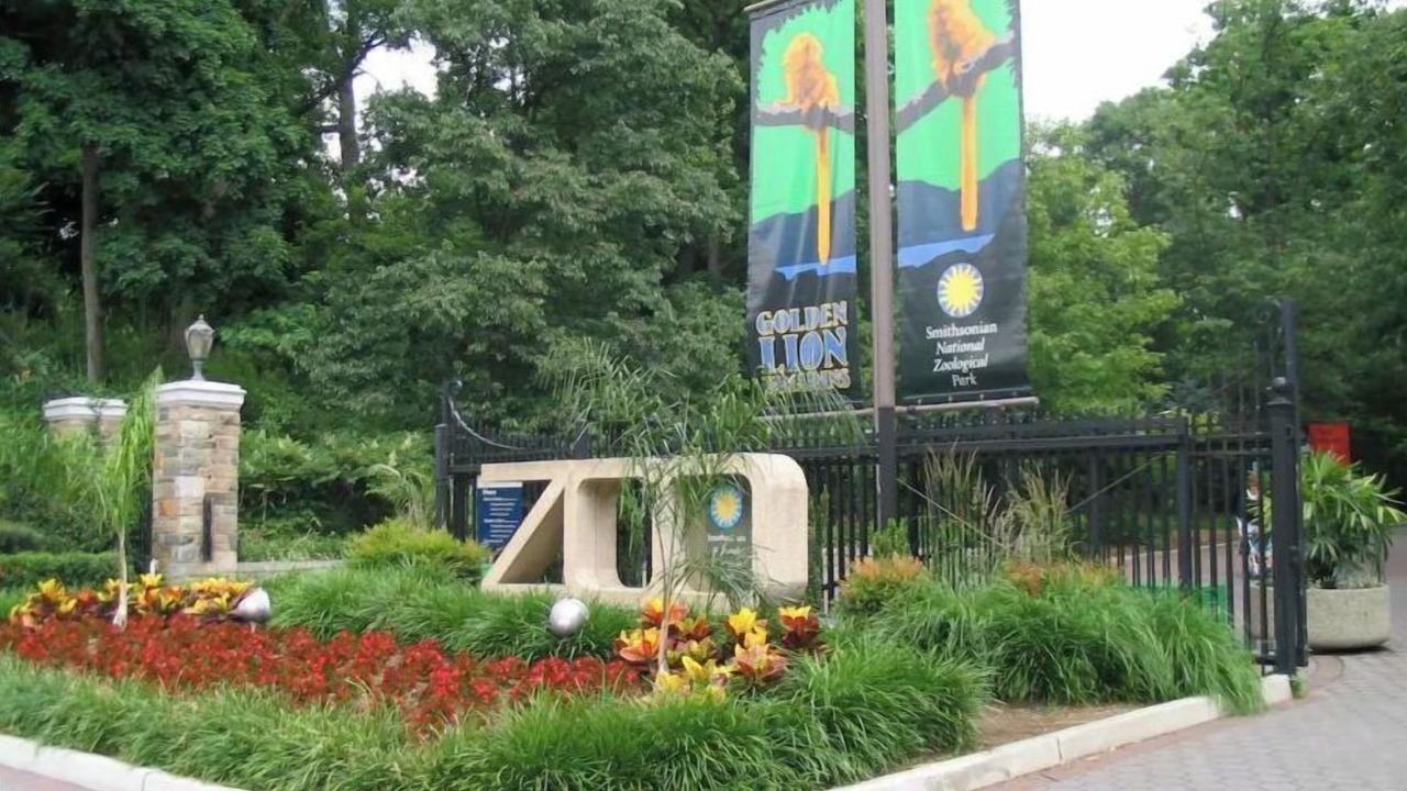 Photo of Outdoor in Forest Hills