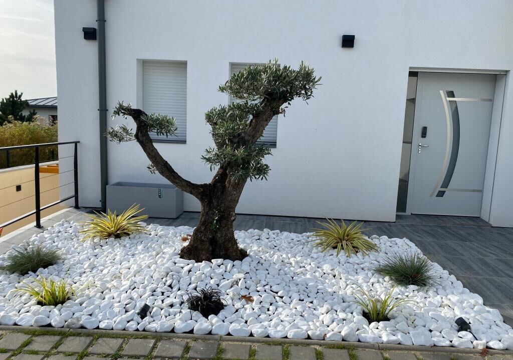Photo of Outdoor in Saint-Prix