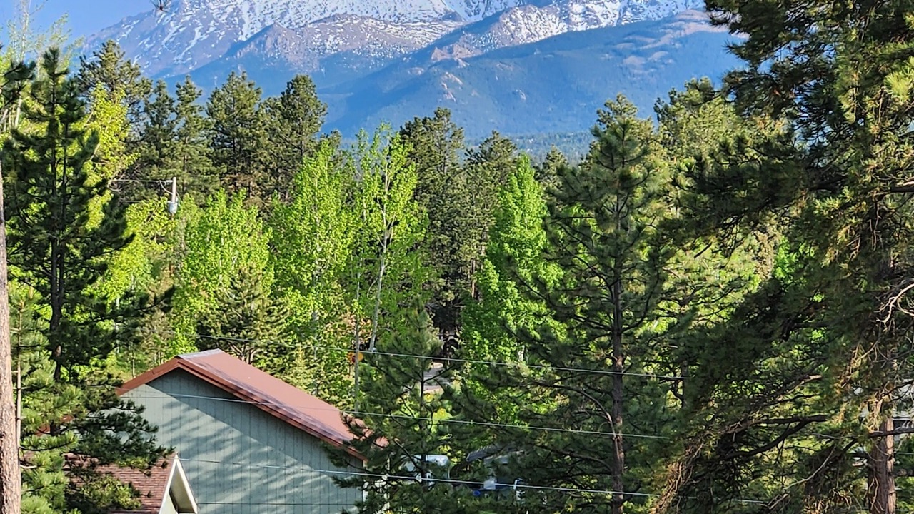 Photo of Outdoor in Woodland Park