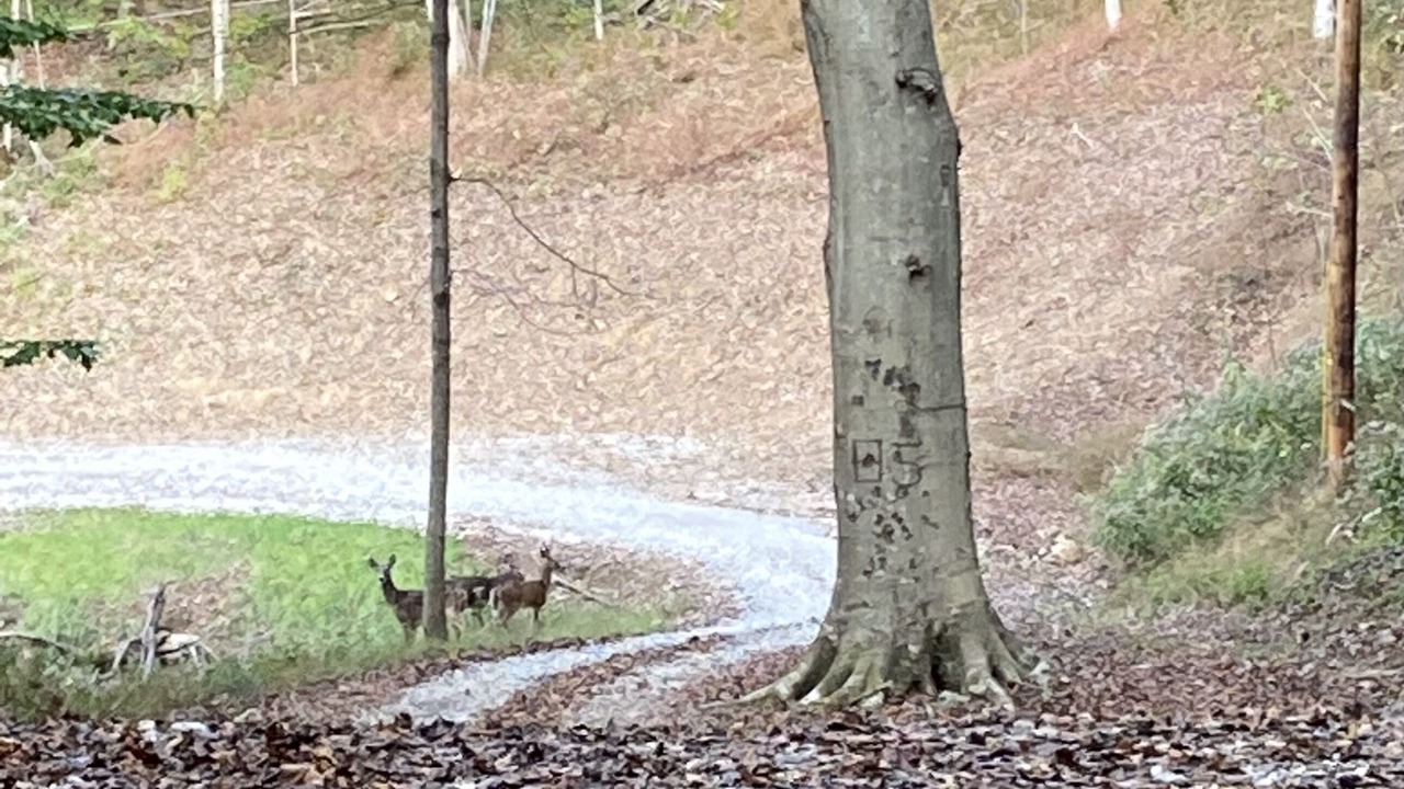 Photo of Outdoor in Turtle Creek