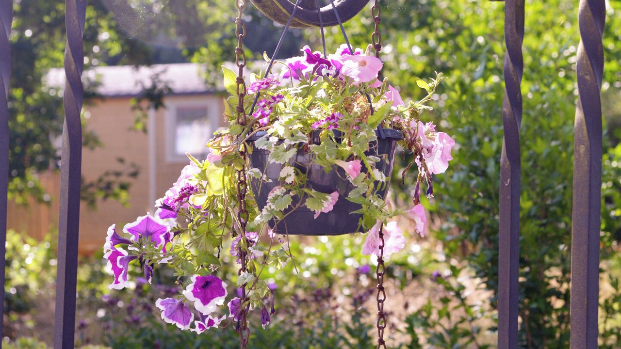 Photo of Outdoor in Chimay