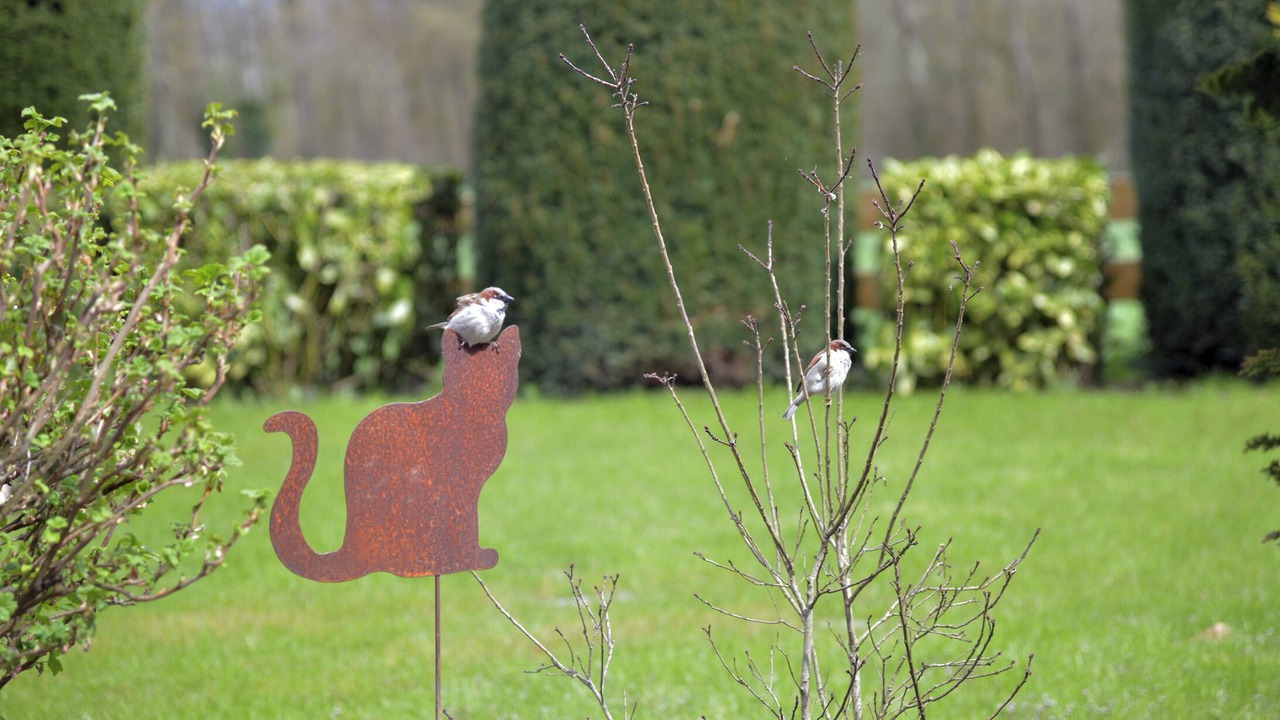 Photo of Outdoor in Chimay