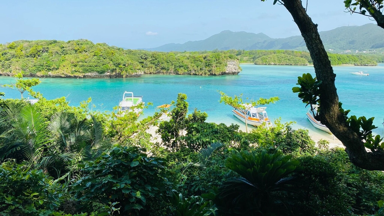 Photo of Others in Ishigaki