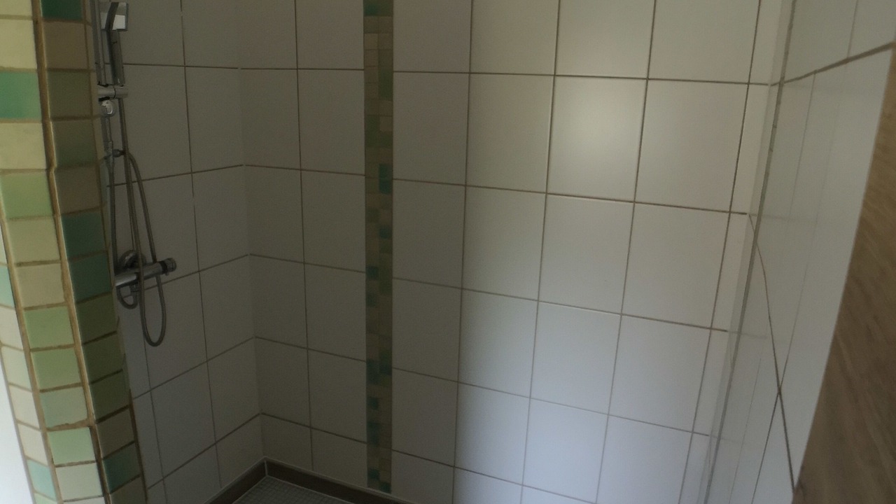 Photo of Bathroom in Hamswehrum
