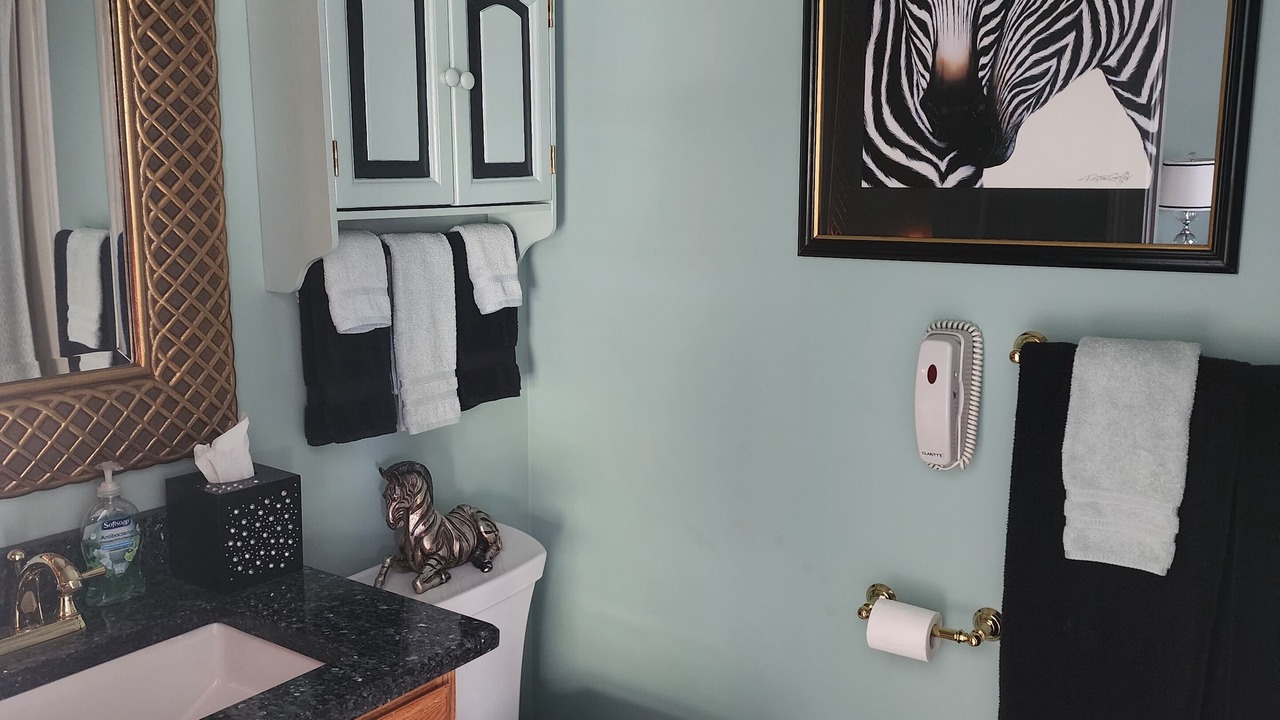 Photo of Bedroom in Chapin