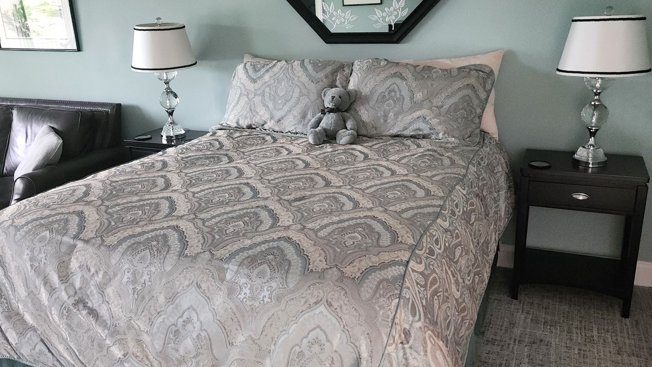 Photo of Bedroom in Chapin