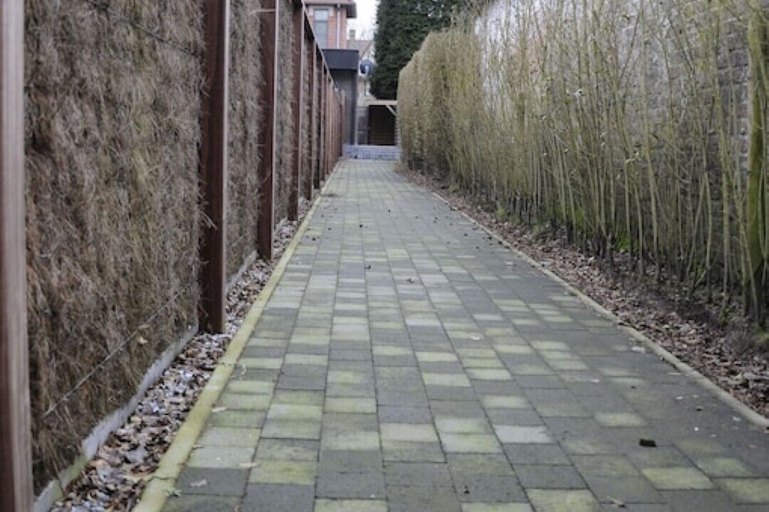 Photo of Outdoor in Assebroek
