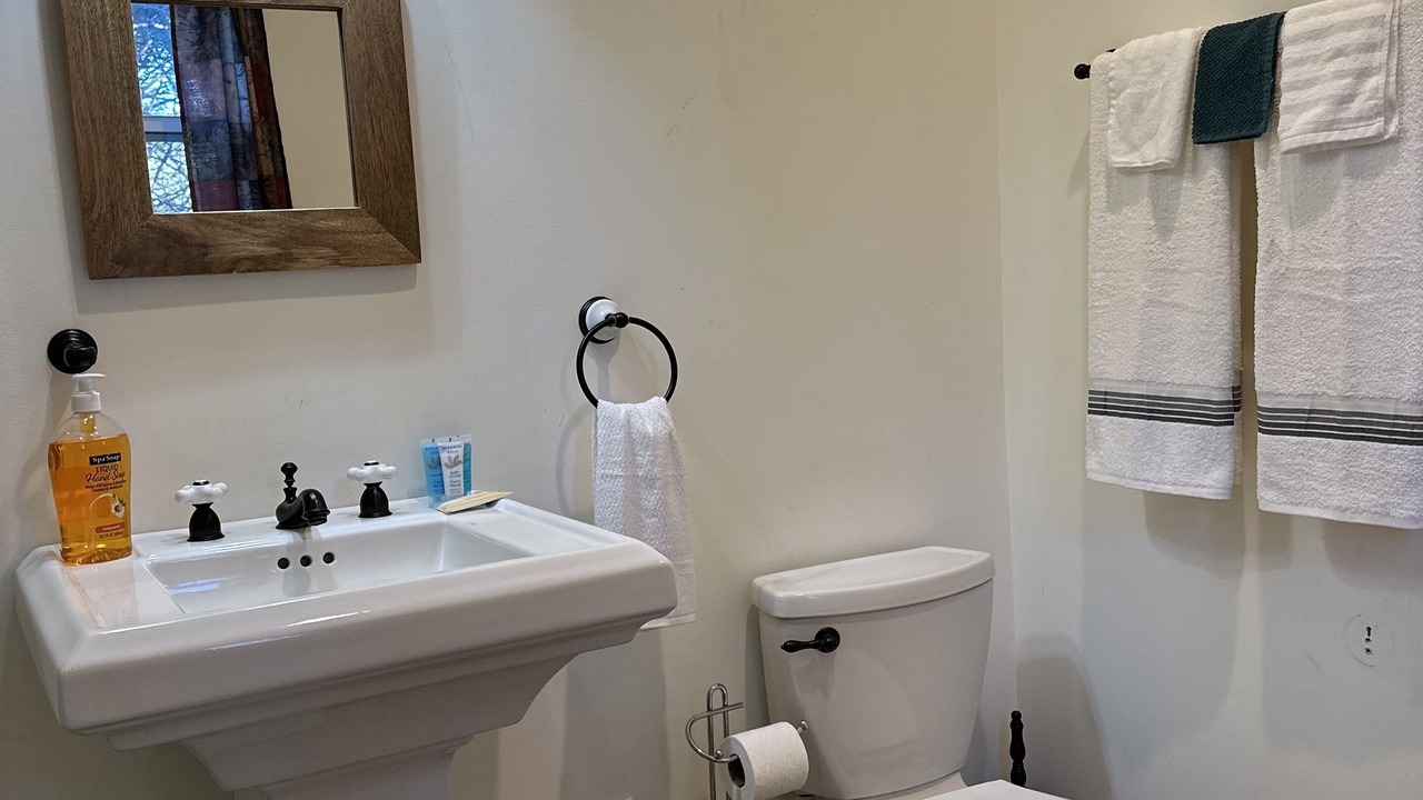 Photo of Bathroom in Sautee Nacoochee