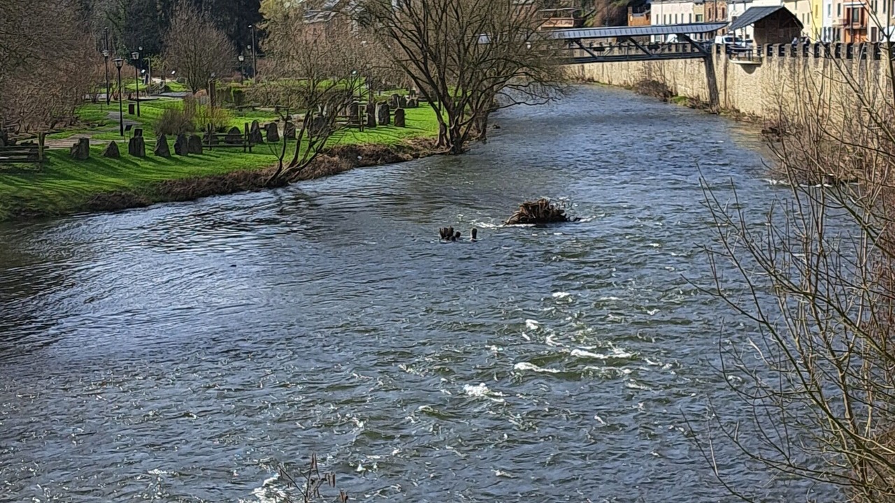 Photo of Others in La Roche-en-Ardenne