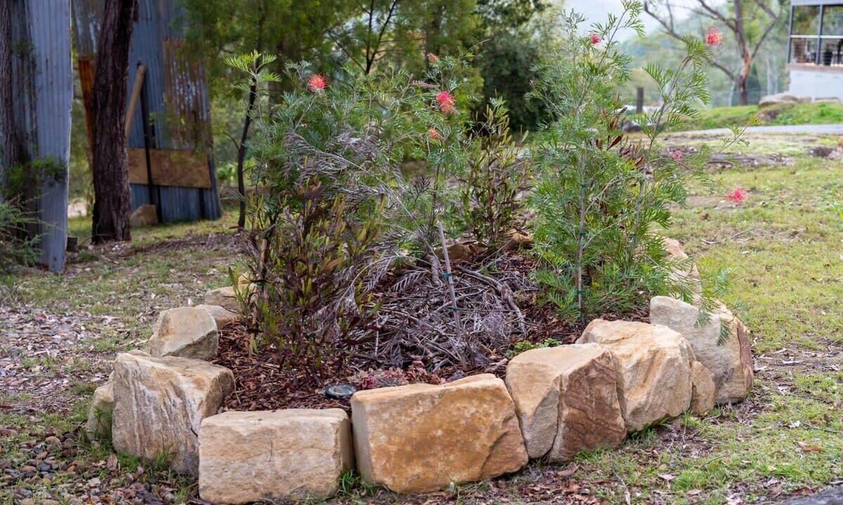 Photo of Outdoor in Wollombi