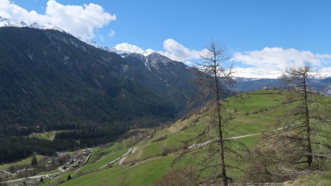 Photo of Others in Albula-Alvra