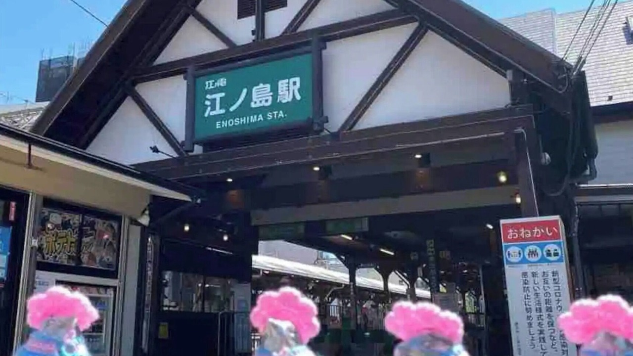 Photo of Others in Katasekaigan