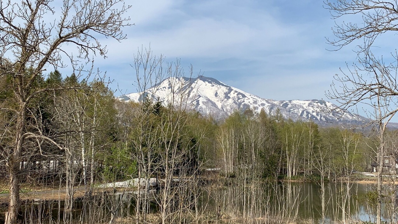 Photo of Others in Niseko
