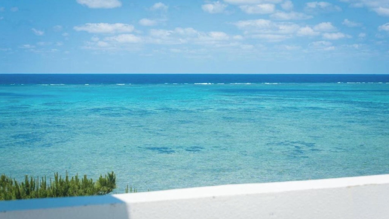 Photo of Patio Balcony in Ishigaki