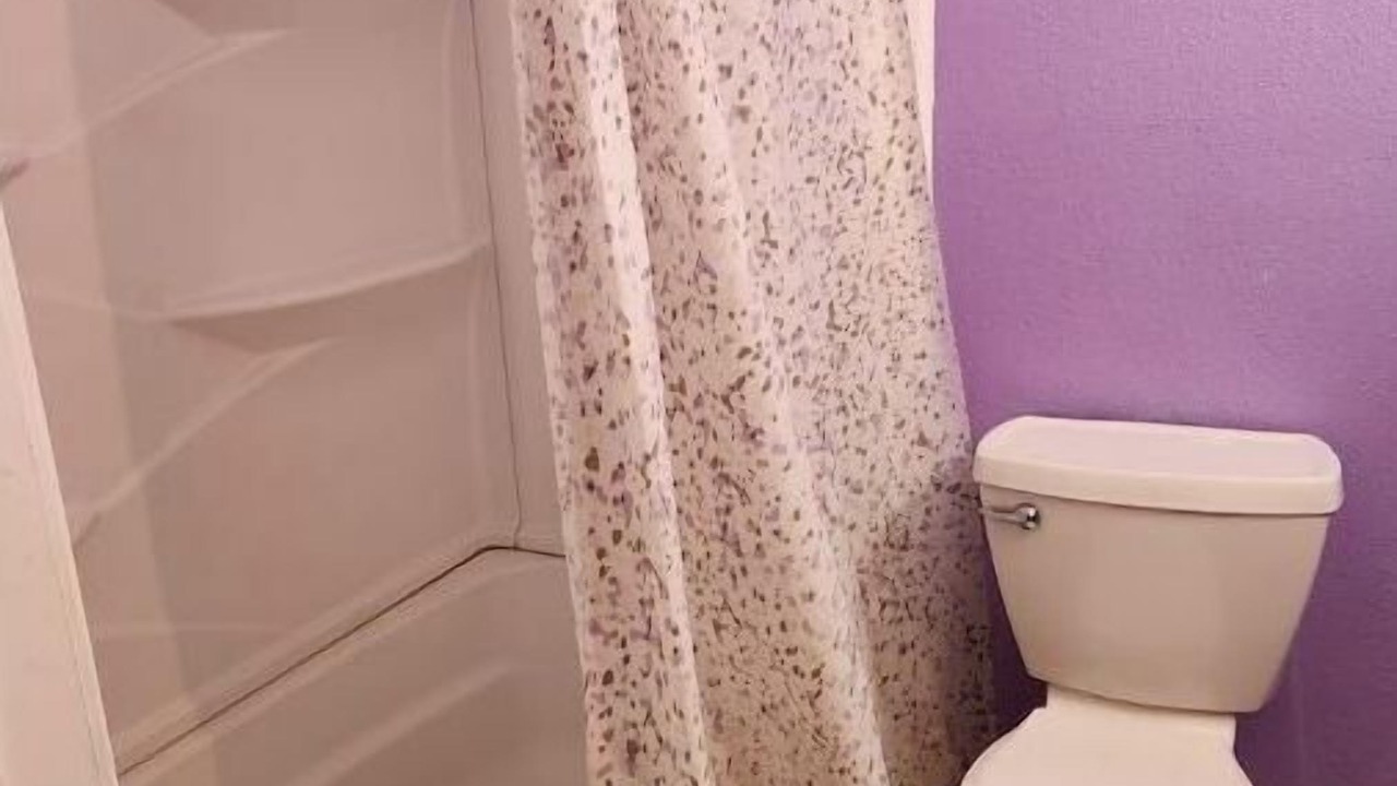 Photo of Bathroom in Little Woods