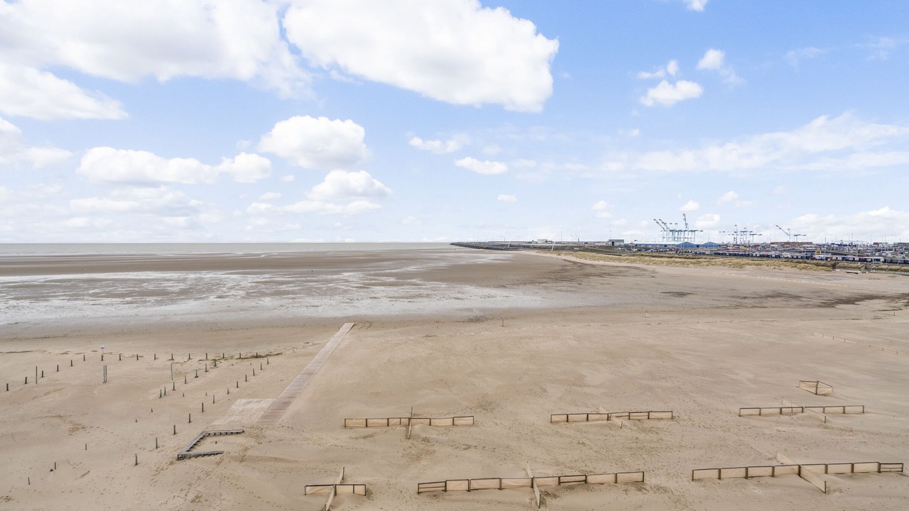 Photo of Others in Zeebrugge