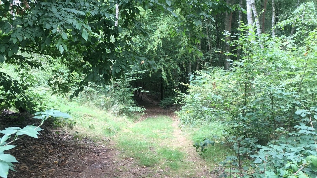 Photo of Outdoor in Leuenberg